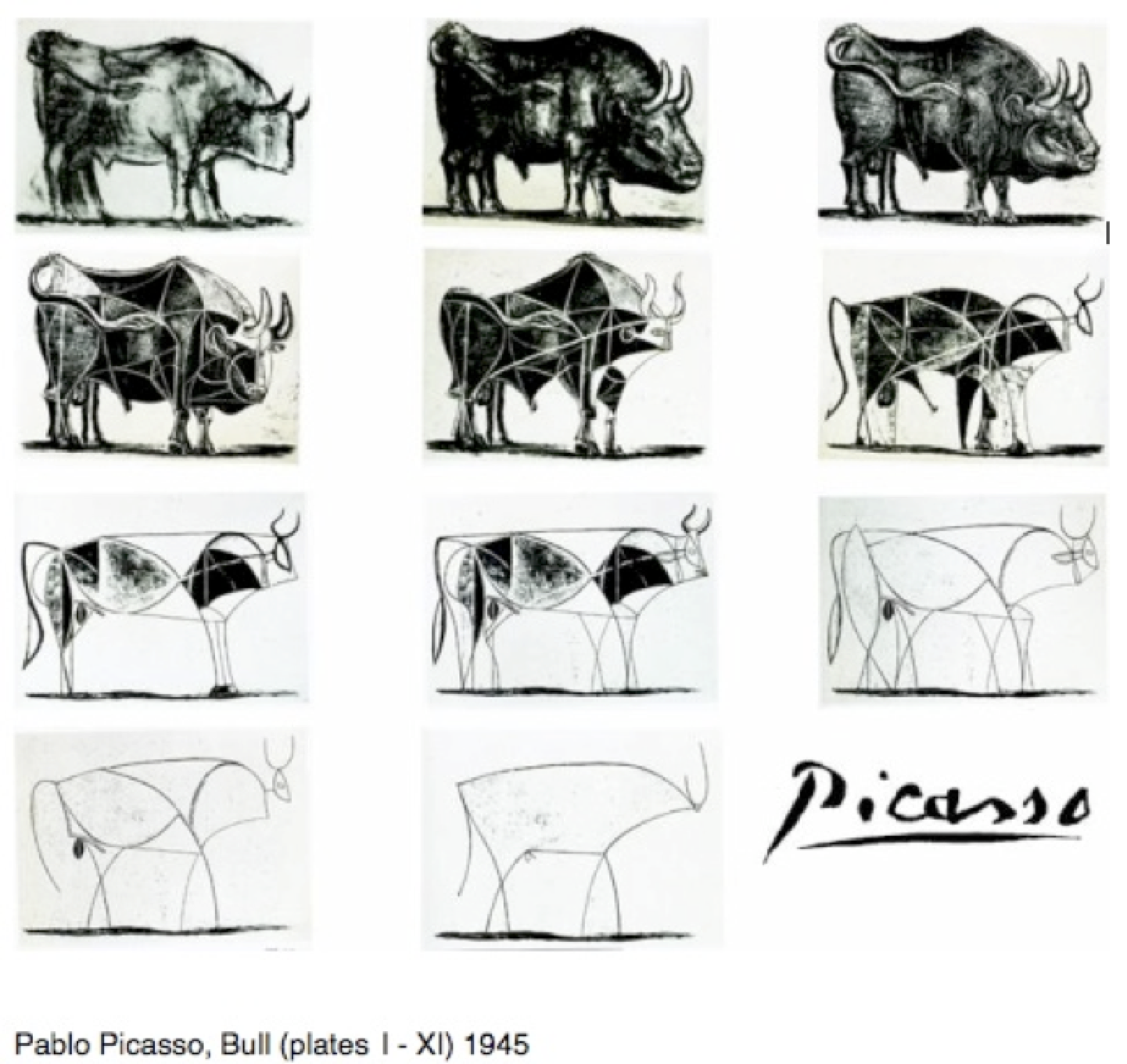 Picasso's Bull Series